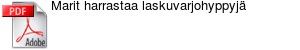 Marit harrastaa laskuvarjohyppyj